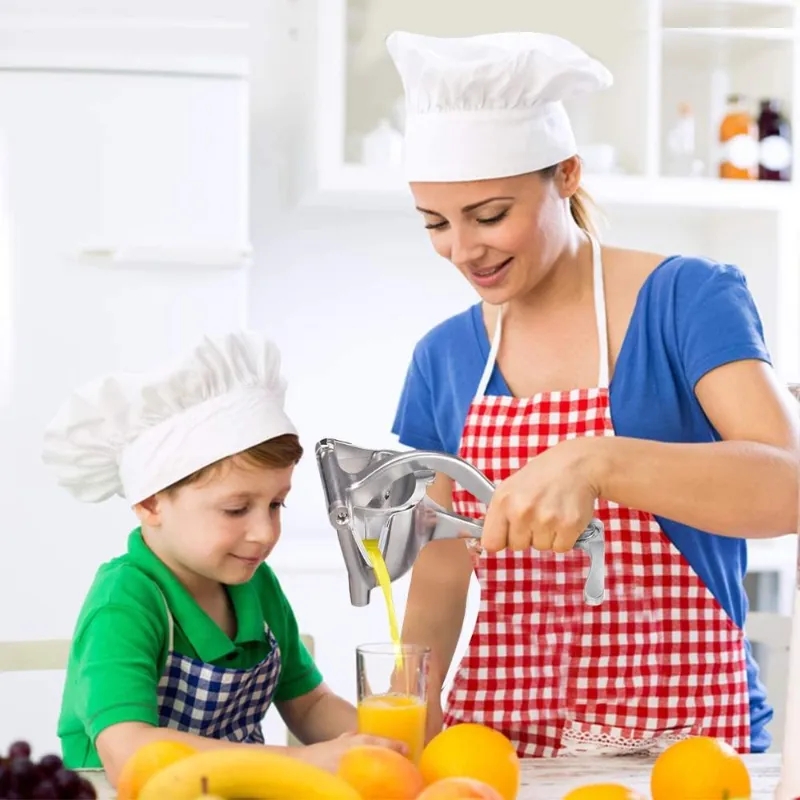 Espremedor Manual de Suco 2026 - Citrus Juicer Bar avaliação e preço